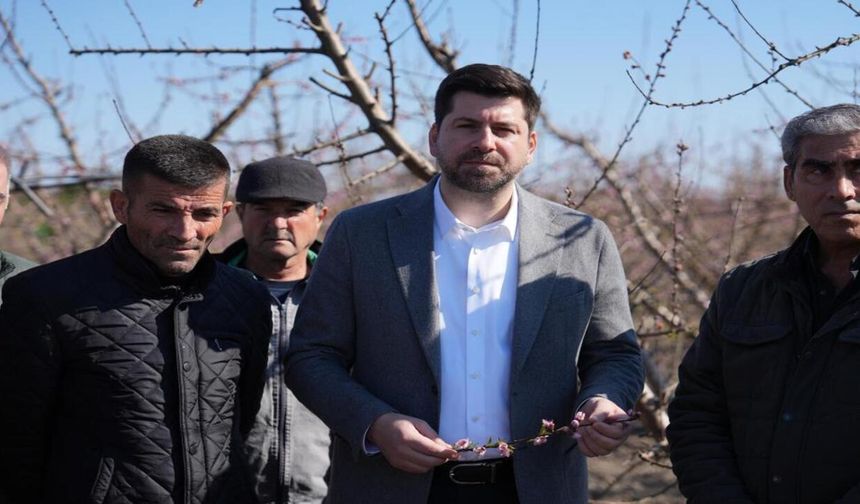 Tarsus’ta zirai dondan zarar gören yerler ‘Afet bölgesi ilan edilsin’ talebi