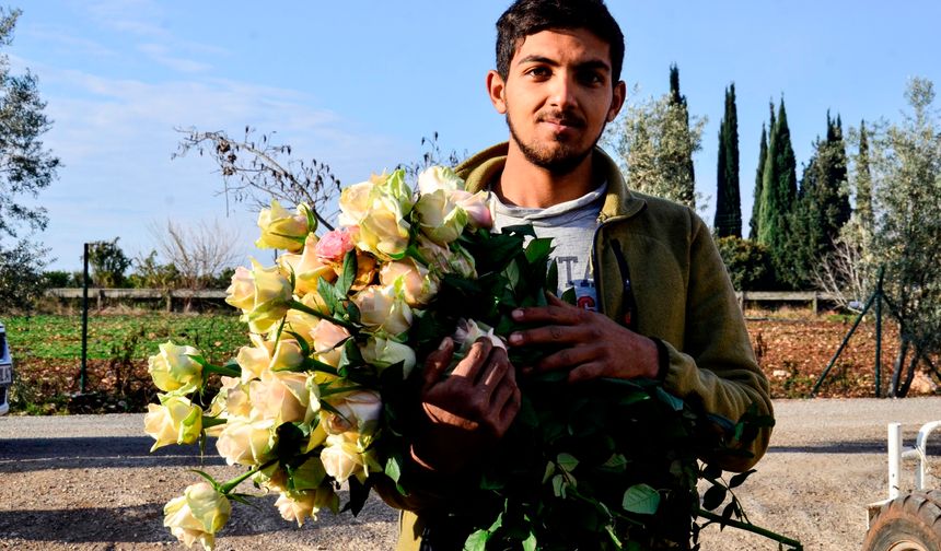 Mersin’de '14 Şubat' telaşı