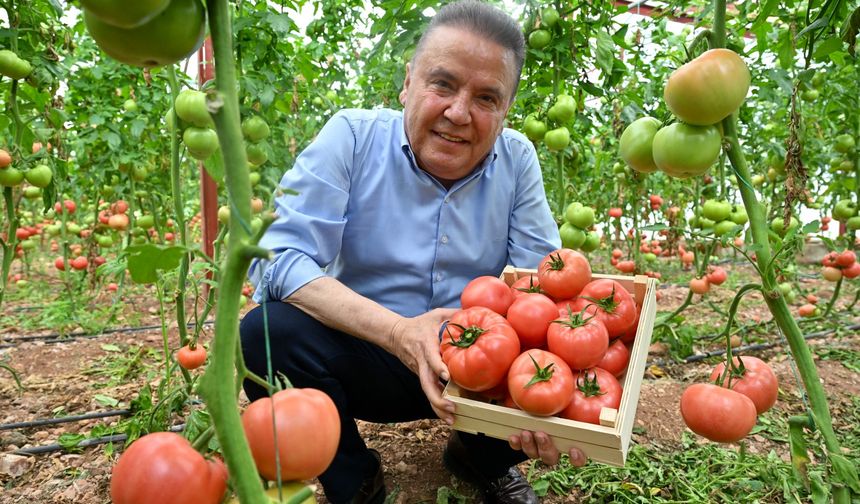 Antalya Büyükşehir Belediye Başkanı Muhittin Böcek start verdi